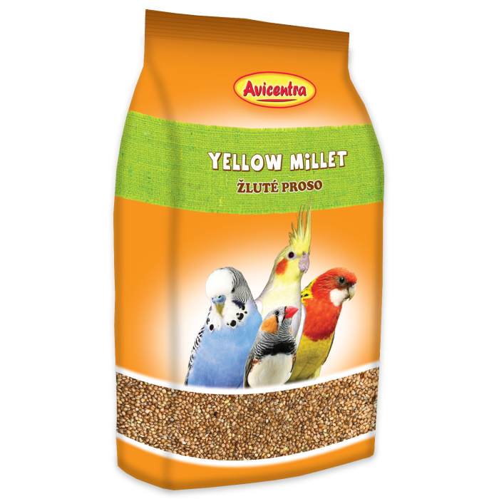 Yellow millet